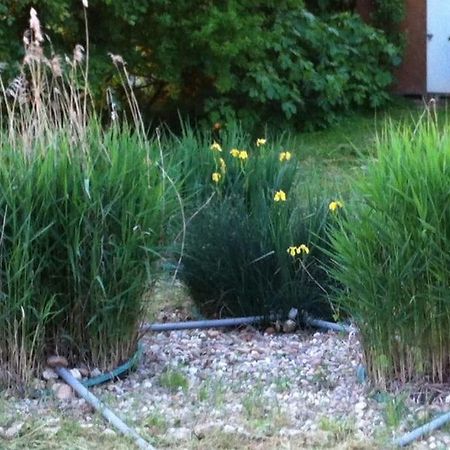 Appartement Neuf & Ecologique A La Campagne Marzens Экстерьер фото
